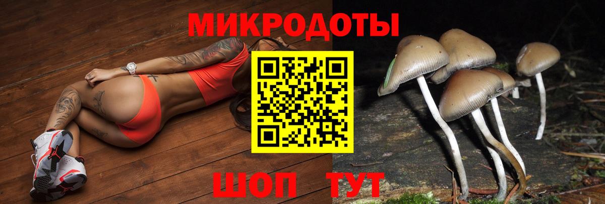 Галлюциногенные грибы MAGIC MUSHROOMS  Вход с VPN  где купить наркоту  Новодвинск 